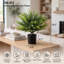 Faux plantes de cèdre 2 pièces vertes