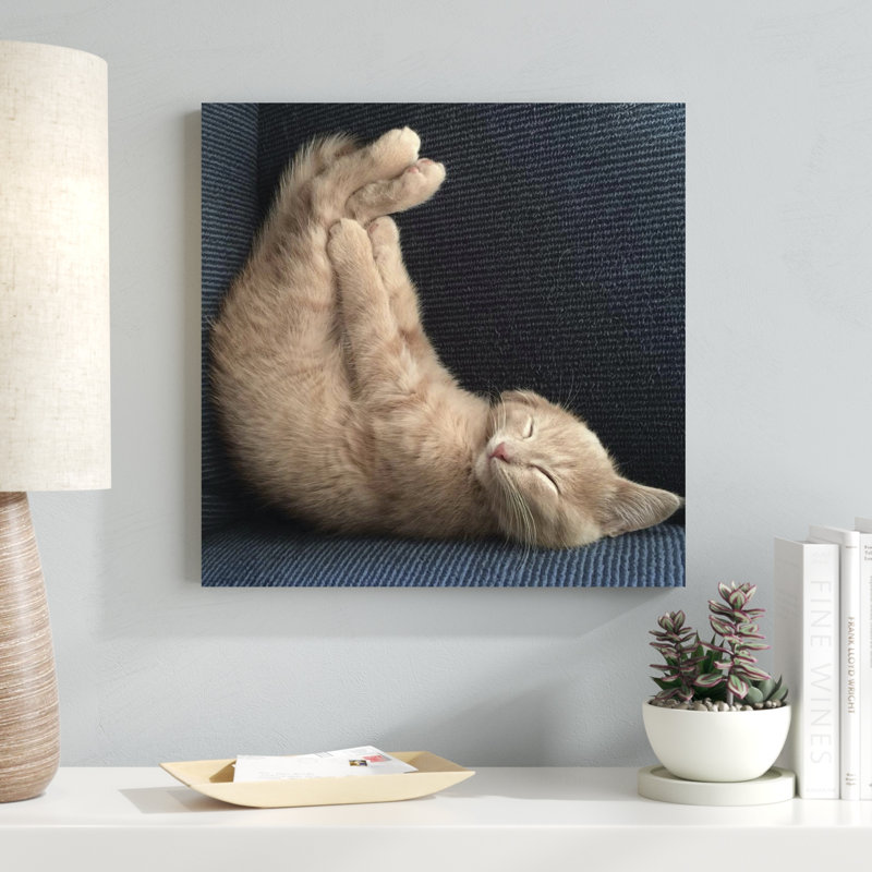 Cat Yoga VII, H 20 po x l 20 po