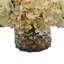 Mixed Hydrangeas In Mercury Glass Vase-1041833547