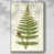 Cadre flottant blanc