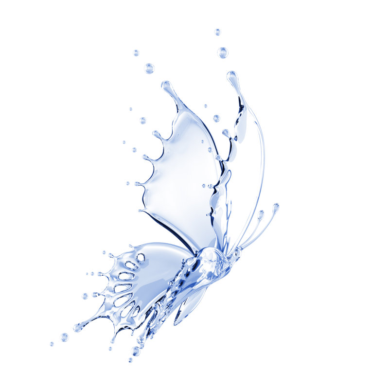 Water Butterfly by BlackJack3D - Wrapped Canvas Print, 122cm H x 122cm W x 3.8cm D