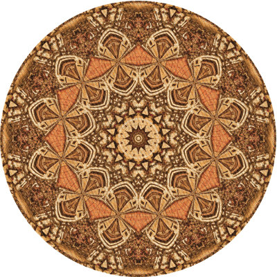 Oriental Indoor Rug