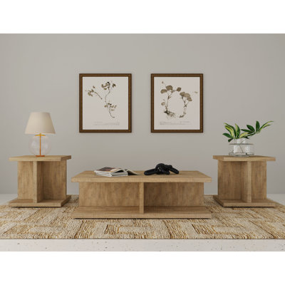 Metron Mango 3-Piece Coffee And End Table Set