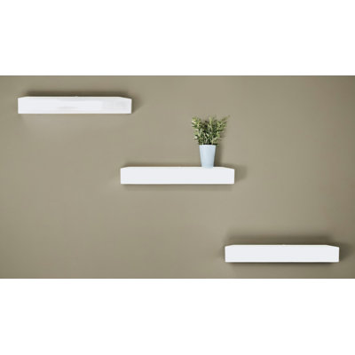 Rayne Poplar Floating Shelves