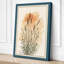 Ornamental Grass Study Botanical - Wrapped Canvas-5136496-5136510
