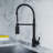 Dowell Pull Down Kitchen Faucet-43235577