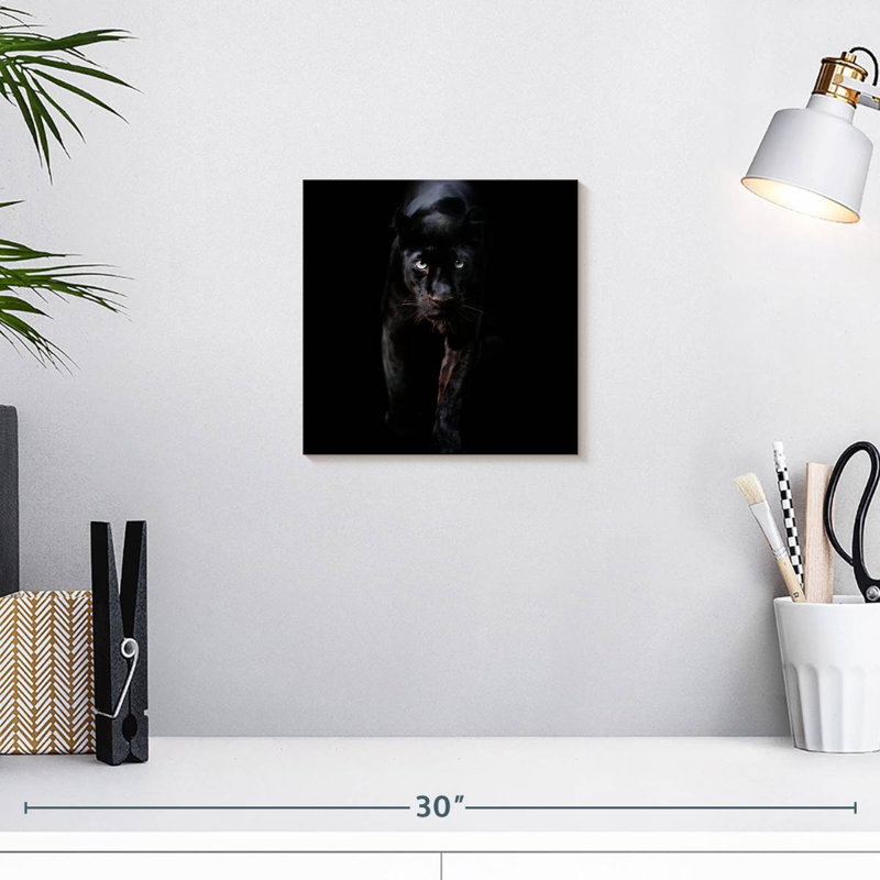 Crowle Sneaky Black Panther, H 10 po x l 10 po