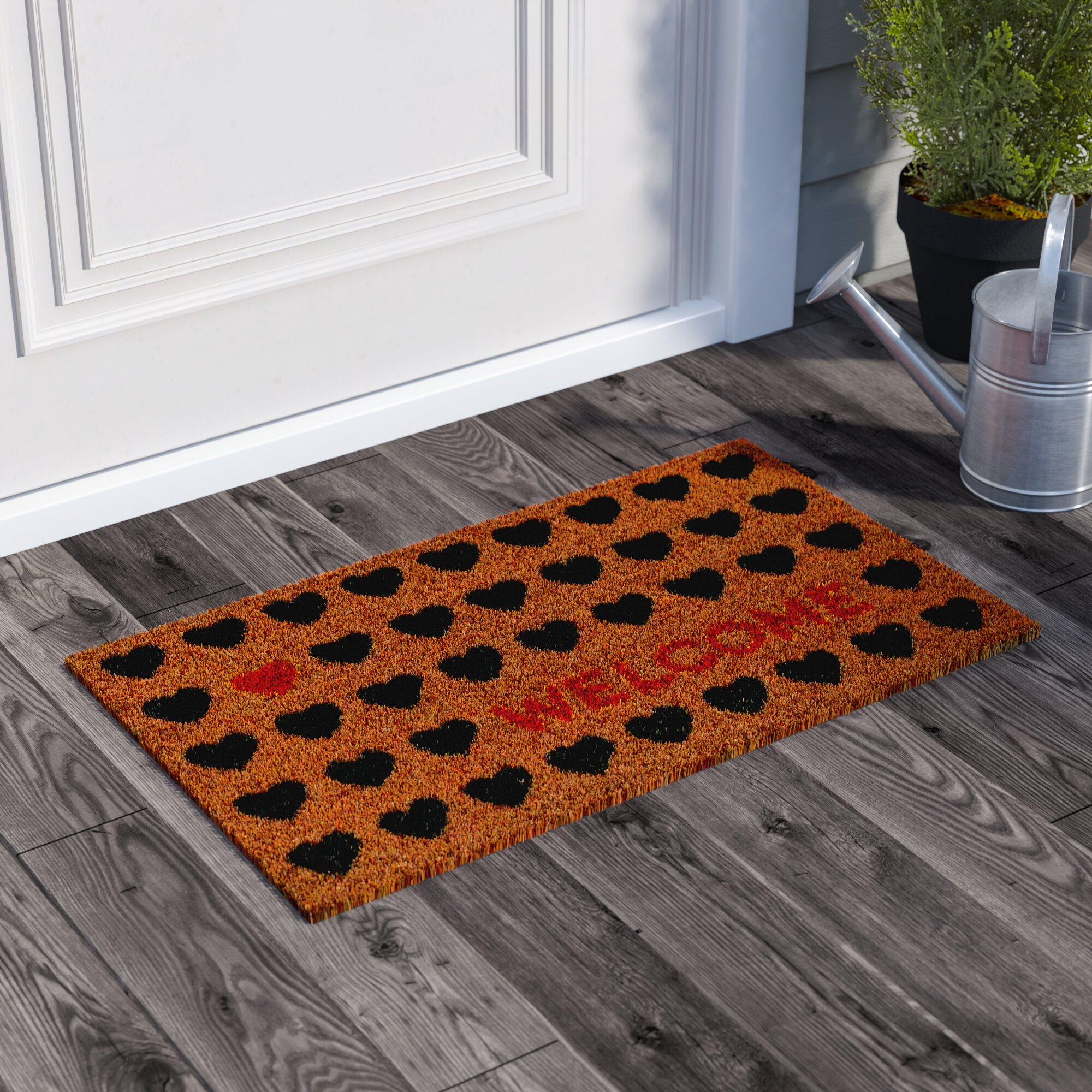 Wayfair  Indoor Doormats You'll Love in 2024