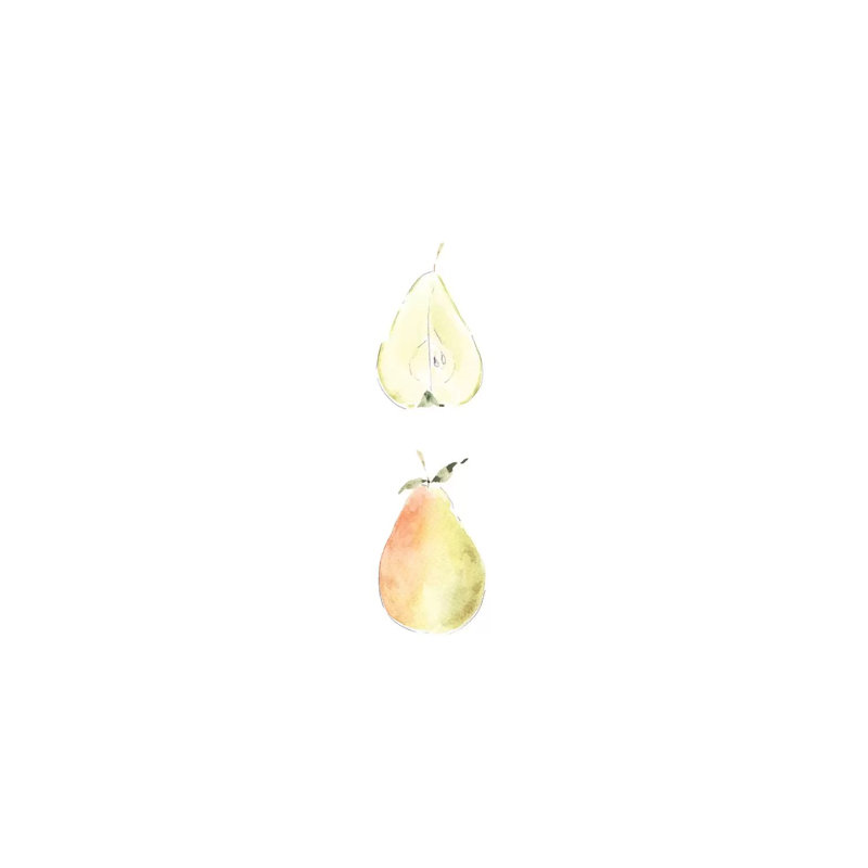 Pear Slice by Melissa Selmin - Wrapped Canvas Gallery-Wrapped Canvas Giclée, 30.48 cm H x 20.32 cm W