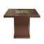Table foyer au propane en acier Roseleaf