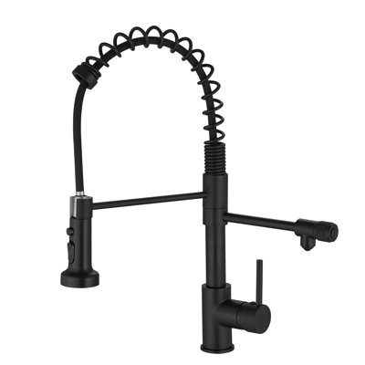 FLG Pull Down Kitchen Faucet