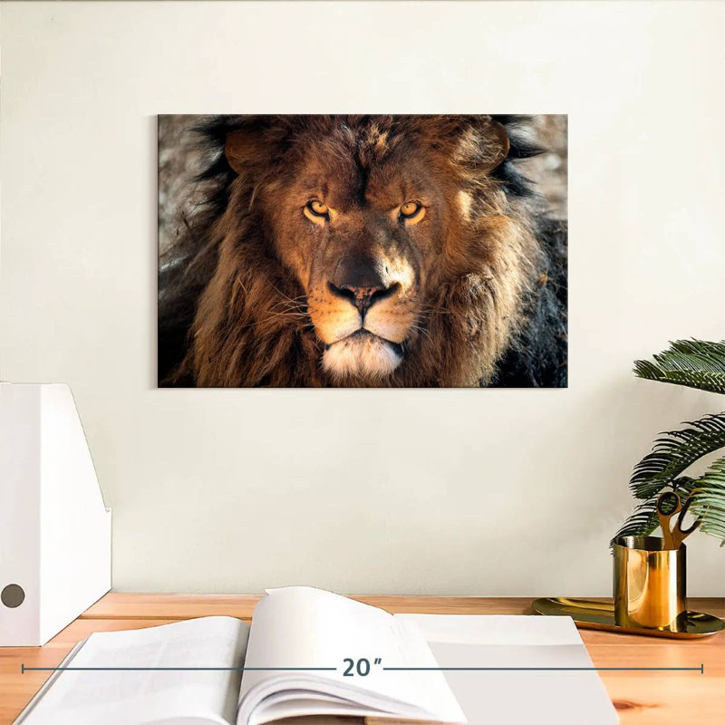 Tough Lion Head, 8" H x 12" W