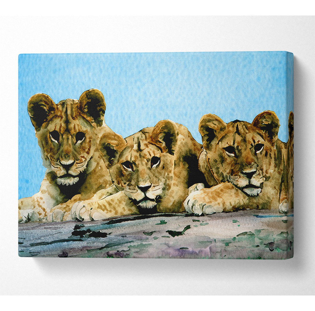 Lion Cub Trio - Kunstdrucke auf Leinwand