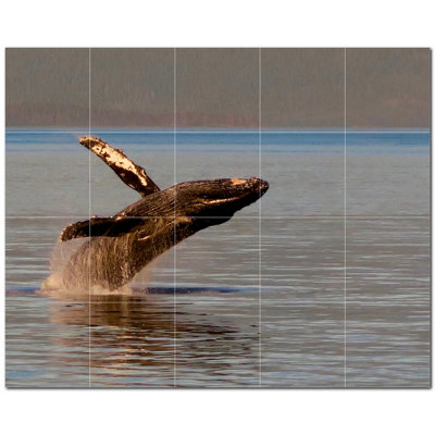 Murale en céramique satinée Whale Photo 4,25 po x 4,25 po