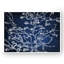 «Almond Blossom Blue Shadows», reproduction d'art sur toile-20748654