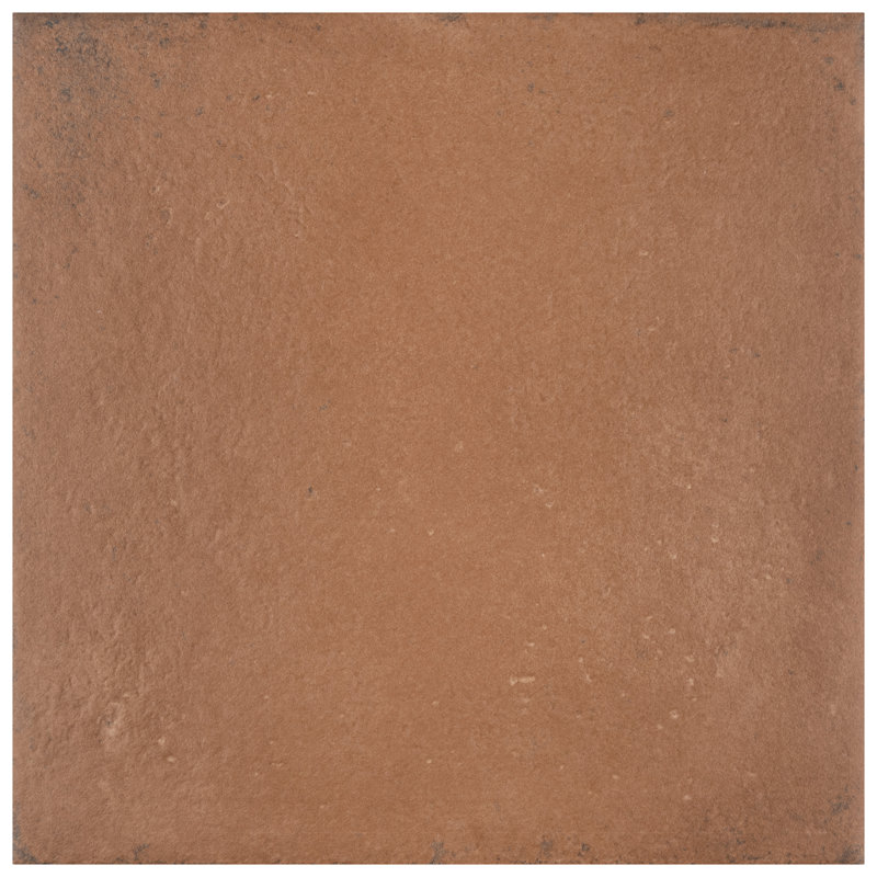 Amaia 12" x 12" Porcelain Terra Cotta  Look Floor And Wall Tile