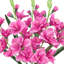 Buisson de glaïeuls artificiels-852398823