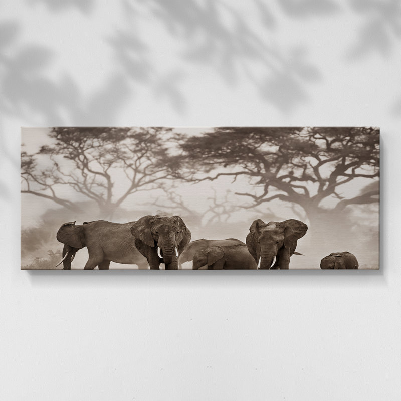 Parc national Amboseli - Toile tendue avec châssis - Prêt à accrocher, H 12 po x l 30 po
