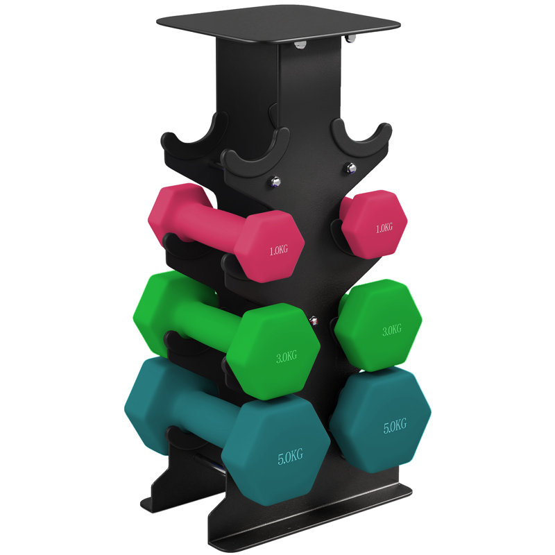 Dumbbell Set