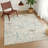 Machine Washable Indoor/Outdoor Chantille ACN2639 Novelty Rug-772946838-772946833