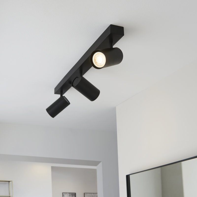 Rex Ceiling Spotlight