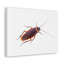 No Frame Print on Canvas-444003209
