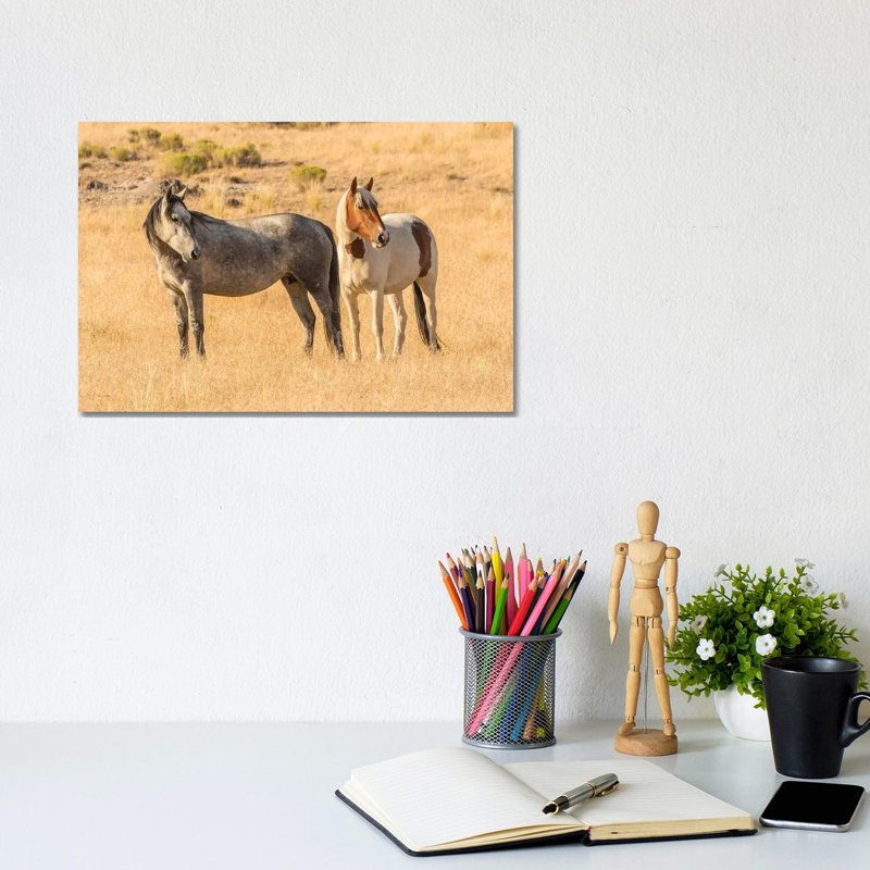 USA, Utah, Tooele County. Wild Horses Close-up. by Jaynes Gallery - Wrapped Canvas Gallery-Wrapped Canvas Giclée