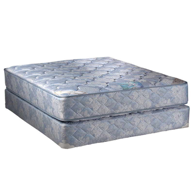 Alezae Two-Sided Twin XL Size 9'' Medium Innerspring Mattress and Box Spring