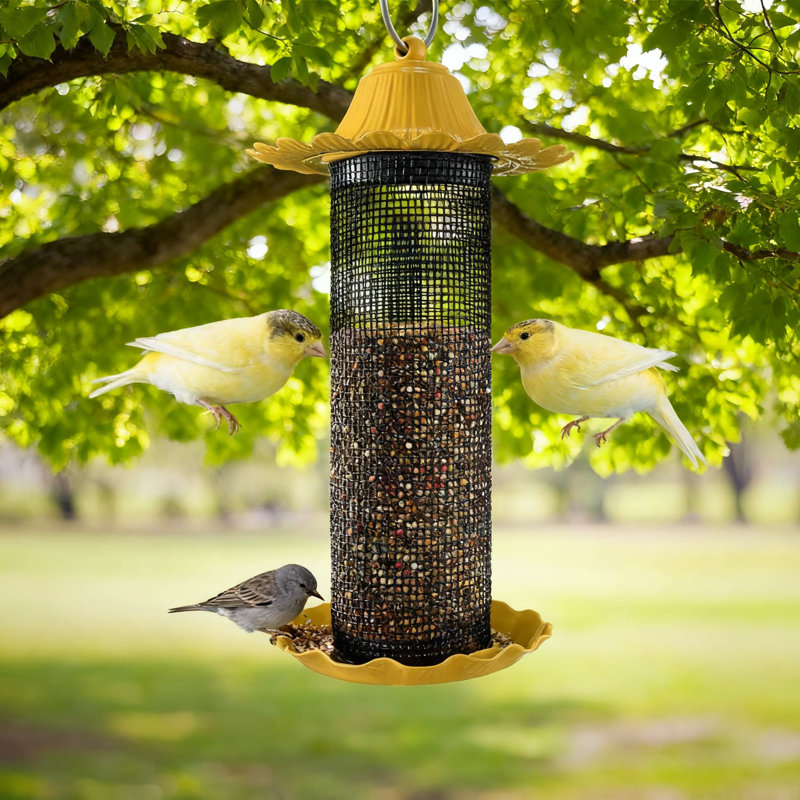 Mangeoire d'oiseaux Finch