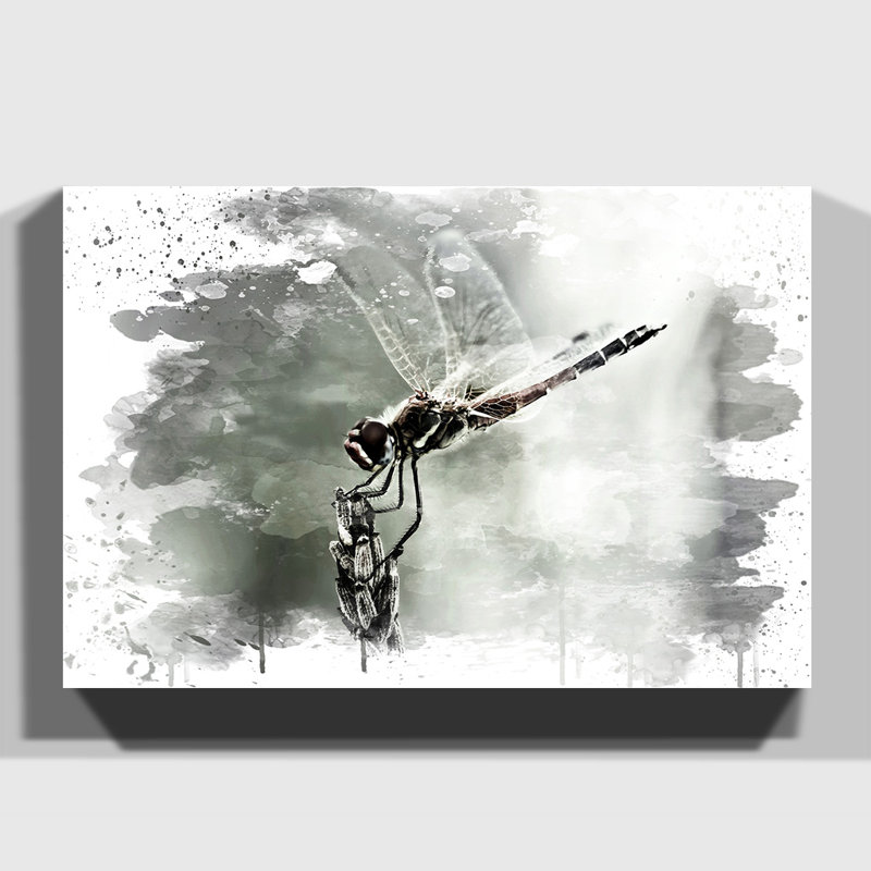 Dragonfly Insect - Wall Art, 70cm H x 100cm W, Wrapped Canvas