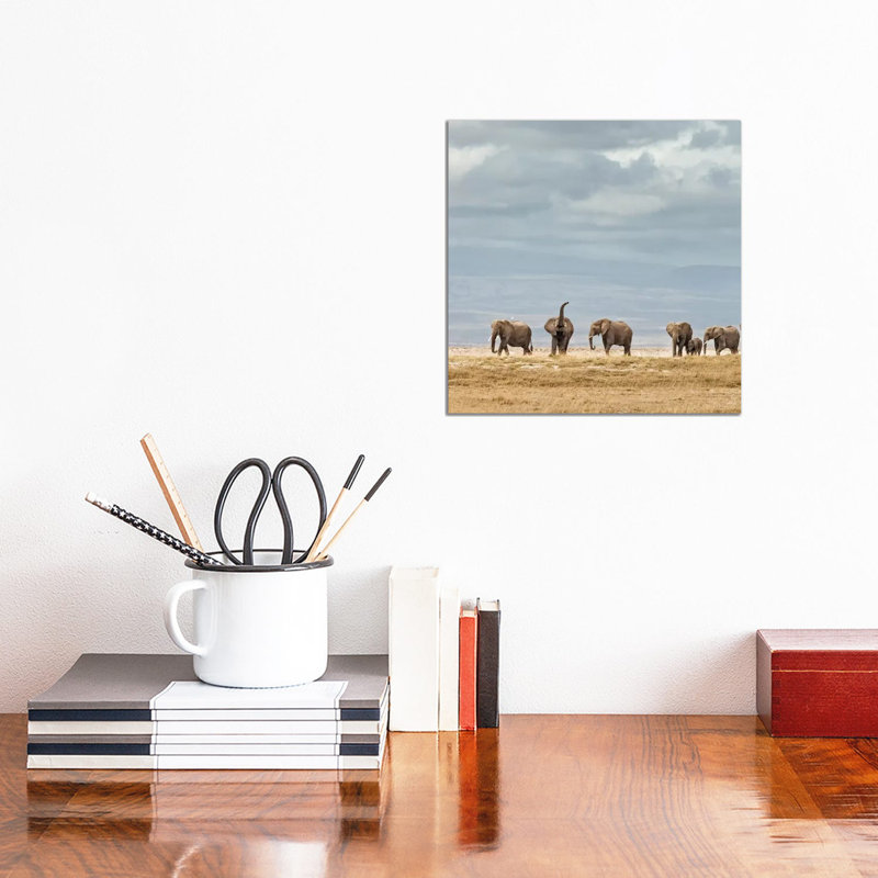 Colour Elephant Herd by Klaus Tiedge - Wrapped Canvas Print, 30.48 cm H x 30.48 cm W