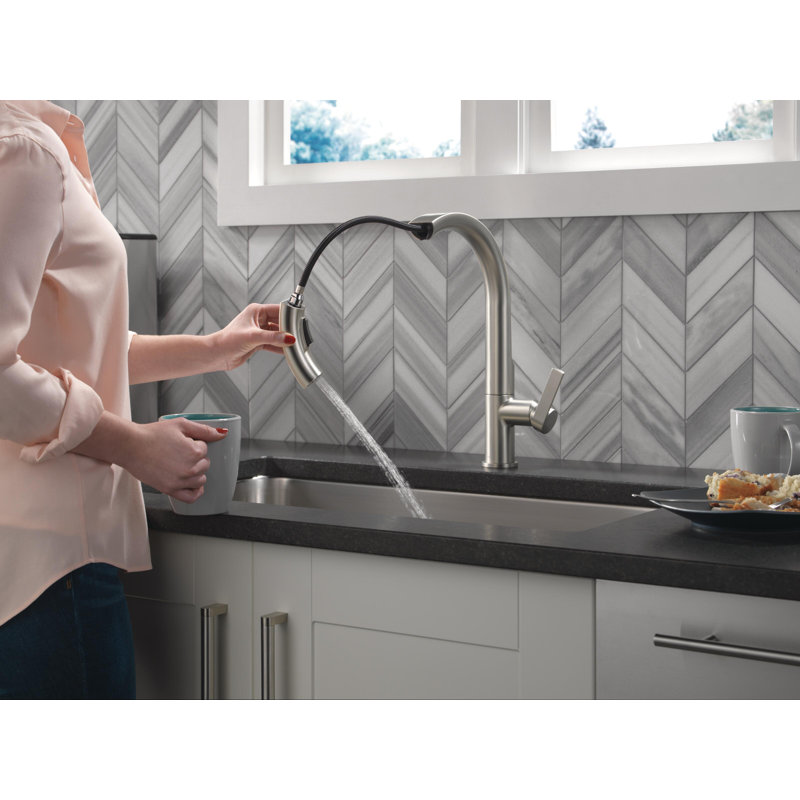 Robinet d'évier de cuisine à poignée simple Keele, Acier inoxydable Spotshield