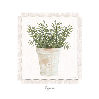 Thym frais