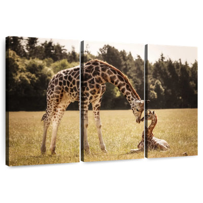 Girafes aimantes