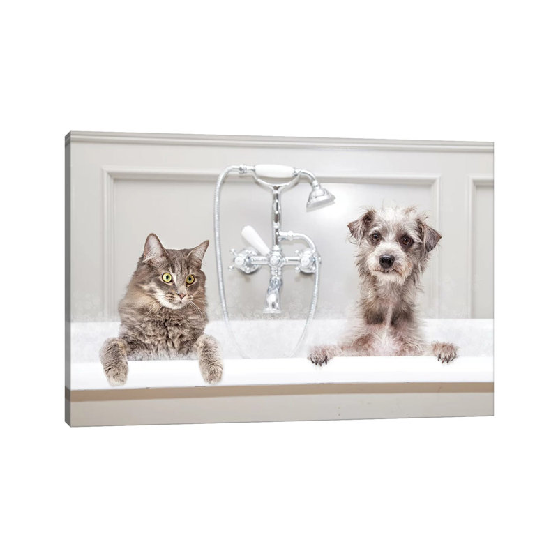 Dog And Cat In Bathtub Together by Susan Schmitz - Print on Canvas, Wrapped Canvas, 101.6 cm H x 66.04 cm W x 1.91 cm D