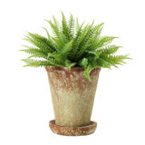 Hillengas Round Cement Planter with Saucer and Distressed Finish