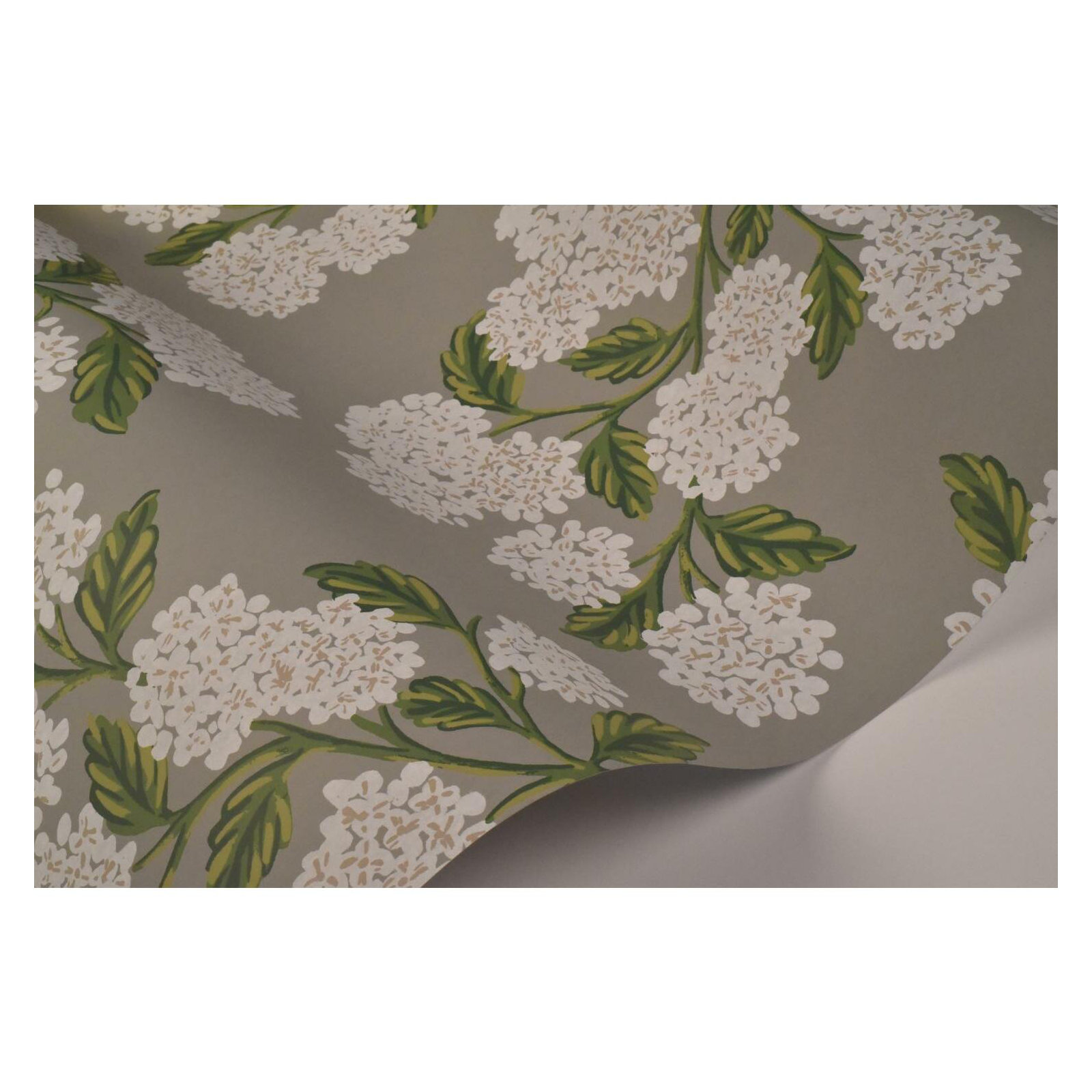 Hydrangea 27' x 27" Wallpaper, Gray/White