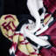 Jeté state seminoles Florida