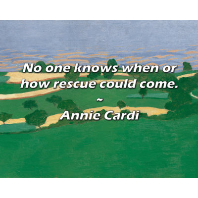 Citation d'Annie Cardi: Personne ne sait quand ni comment le sauvetage pourrait avoir lieu.