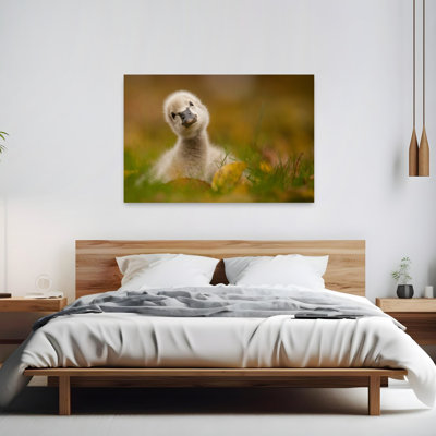 Curious Baby Swan Peaceful Abstract Contemporary Bird Autumn Nature Wall Art Print by Robert Adamec - Wrapped Canvas Print