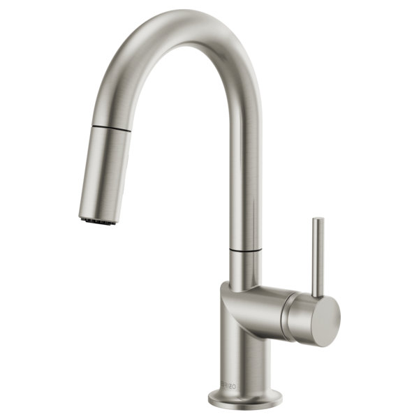 Odin® Pull-Down Prep Faucet with Arc Spout, Stainless, Lever