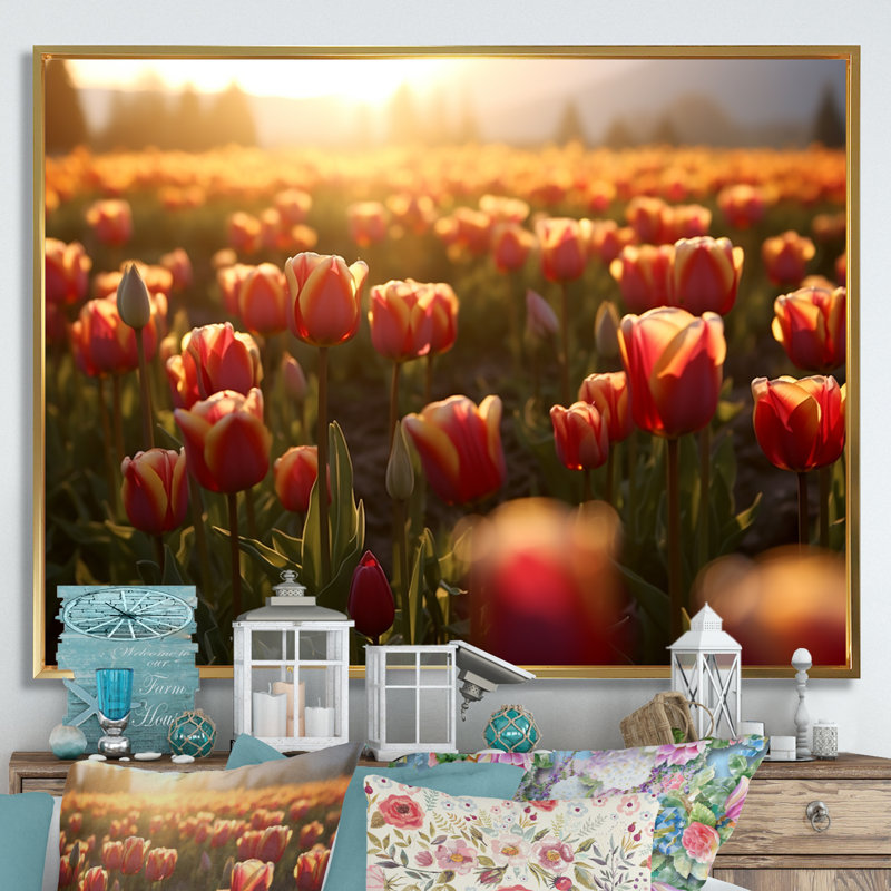 Tulip Field II, Cadre flottant doré, H 30 po x l 40 po x P 1,5 po