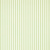 New Tiger Stripe Wallpaper