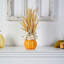 Arrangement de blé séché et de citrouille