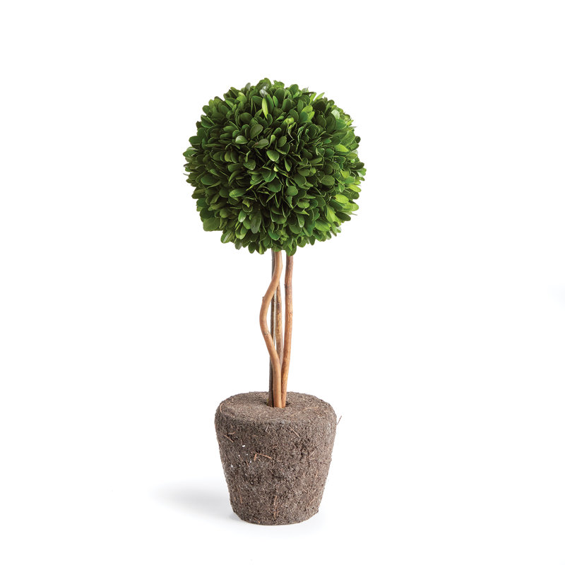 Thisbe Faux Boxwood Topiary in Planter, 16" H x 6.5" W x 6.5" D