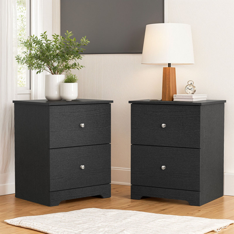 Blaklee Modern 23.7" 2-Drawer Nightstand, Black, Set of 2