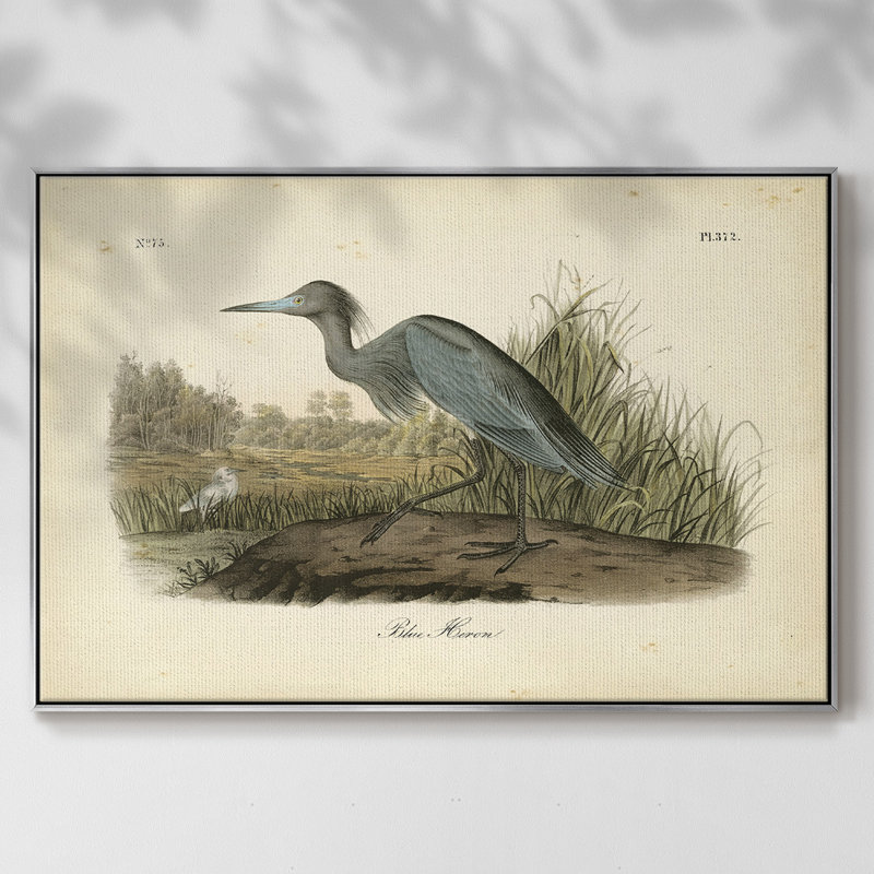 Audubons Blue Heron, reproduction d'art sur toile, H 25 po x l 37 po x P 2 po, Argent