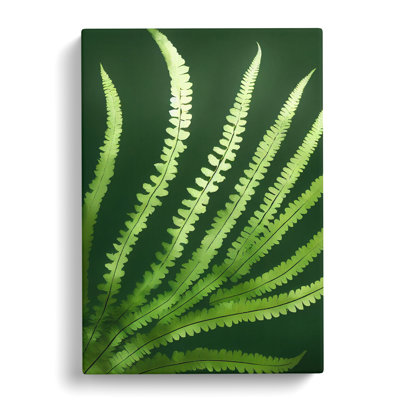 Talleyran Fern Leaf Beauty - Wrapped Canvas
