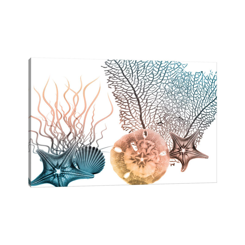Sea Collective III by Albert Koetsier - Print on Canvas, Wrapped Canvas, 45.72cm H x 66.04cm W x 3.81cm D