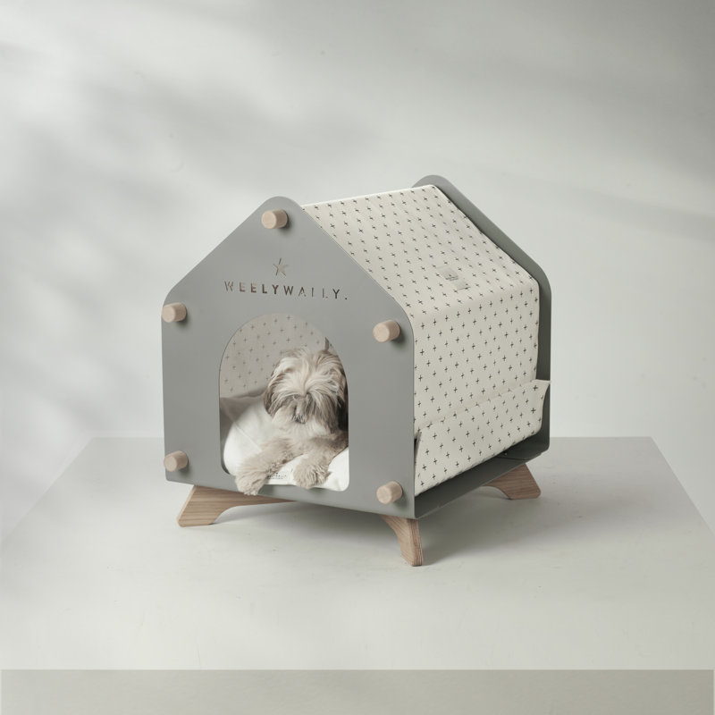 Dog House
